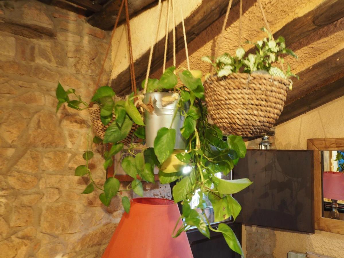 Mas Cal Sastre Guest House Sant Hilari Sacalm Exterior photo