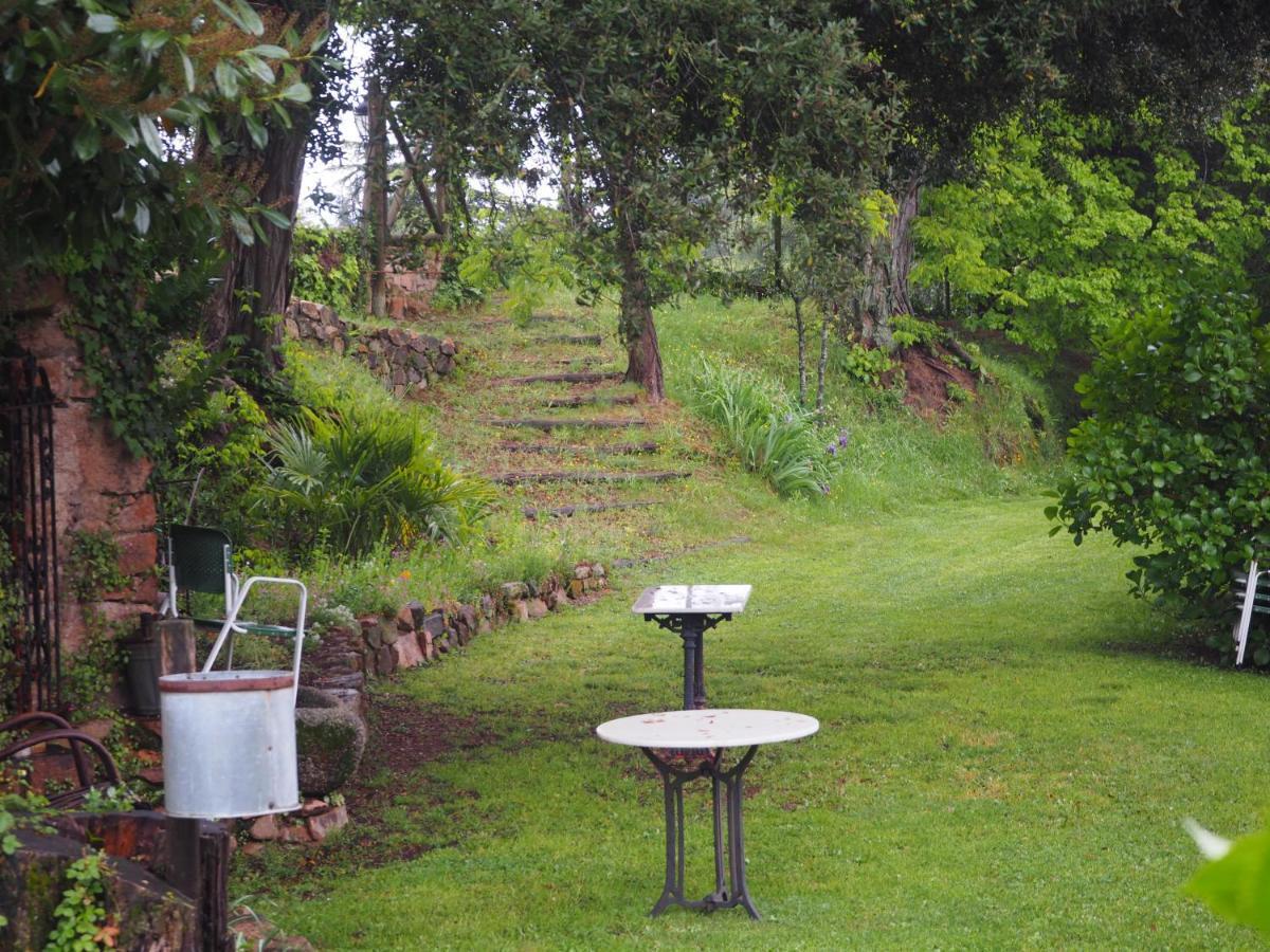 Mas Cal Sastre Guest House Sant Hilari Sacalm Exterior photo