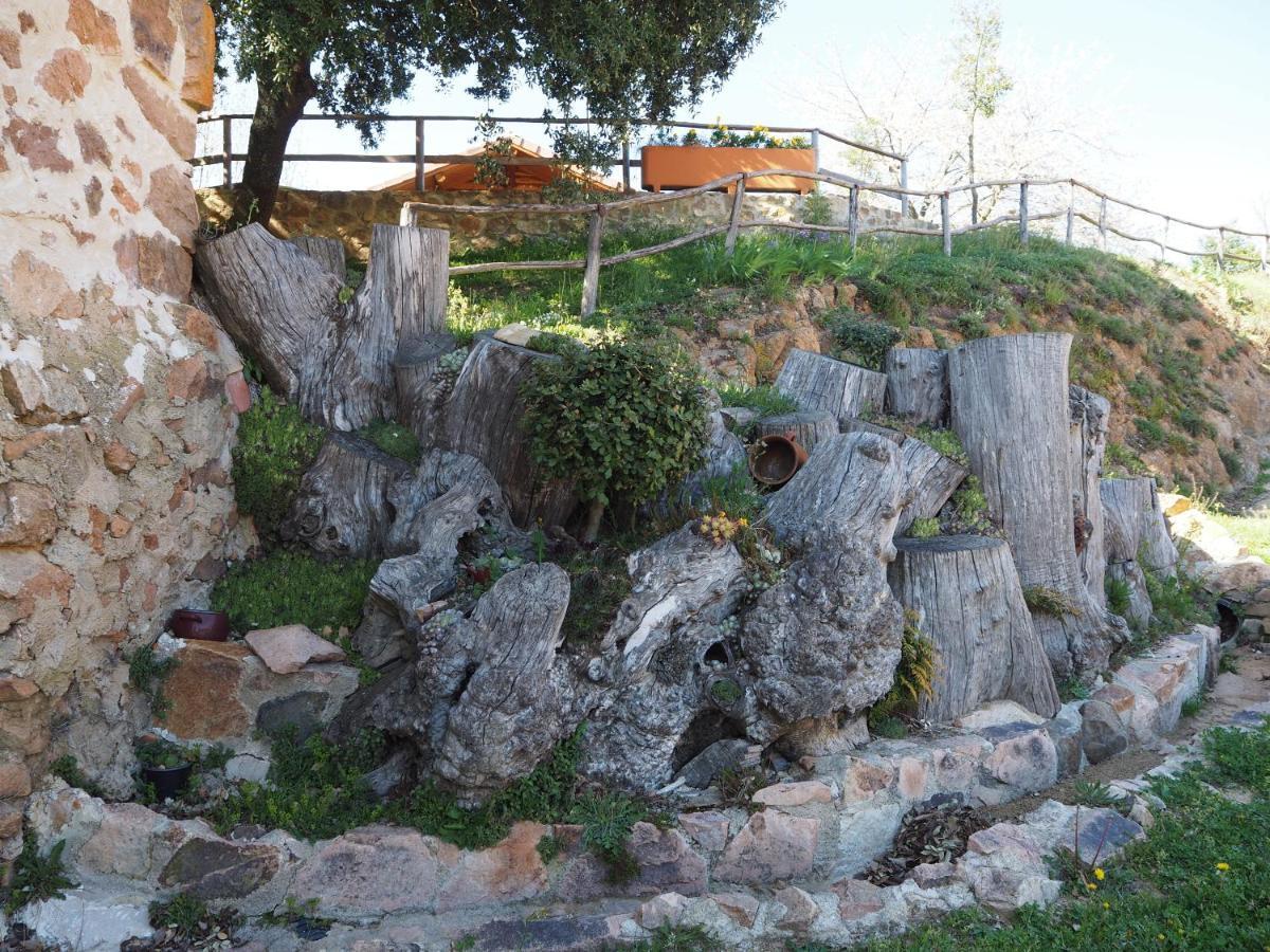 Mas Cal Sastre Guest House Sant Hilari Sacalm Exterior photo